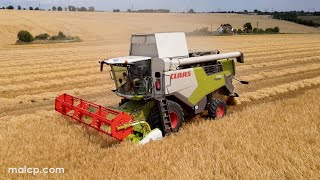 4Kᵁᴴᴰ Claas Trion 530 combine harvester with V560 header cutting barley in Burstall Suffolk [upl. by Rochella]