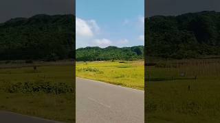 nice road in Coxs Bazar vairalvideo beautiful coxsbazar [upl. by Coppinger]