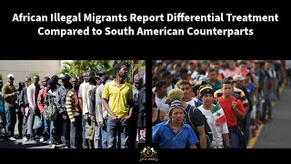 Eyeopening Comparison African vs South American Migrants [upl. by Sugna]