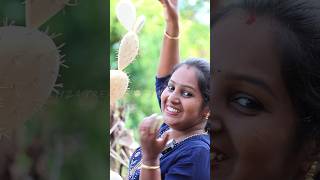 കൃത്രിമ കള്ളിമുൾ ചെടി  Cactus Plant Making  Eliza Creations shorts [upl. by Nitsirhc]