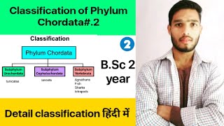 Classification of Phylum Chordata  BSc 3rd Year Zoology 5th Semester 2nd Paper [upl. by Shurlock]