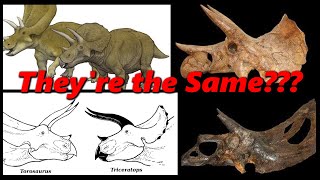 Is Torosaurus Just an Adult Triceratops  Prehistory in the Dark [upl. by Adnaval]