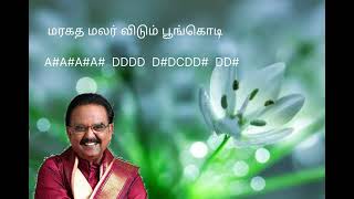 Aval oru navarasa nadagam song on keyboard [upl. by Nahshun]