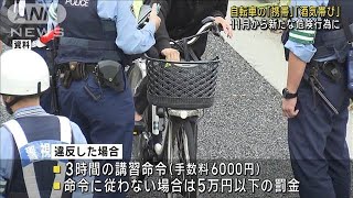 11月から自転車の危険行為に「携帯電話の使用」「酒気帯び」が追加 道交法の改正で2024年8月30日 [upl. by Helen]