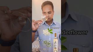 White wine tasting  Bottega pinot grigio winetasting wineeducation winelovers [upl. by Yeslaehc]