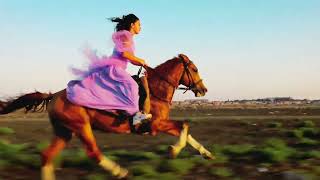 Gulay Farzaliyeva Karabakh horse Zəfər [upl. by Ruthanne]