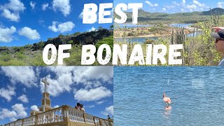 “Best of Bonaire” Excursion via Carnival  History Awesome Views amp Flamingos  Beautiful Island [upl. by Ennovi]