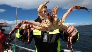 King crabbing in Northern Norway  Königskrabbenfang im Norden Norwegens [upl. by Adele829]