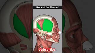 temporalis muscle anatomy  temporalis muscle release foryou shorts [upl. by Acinaj]