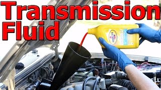 How to Change Automatic Transmission Fluid and Filter COMPLETE Guide [upl. by Rochette669]