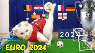 I Make a Euro 2024 house for cats and kittens from cardboard [upl. by Towrey369]