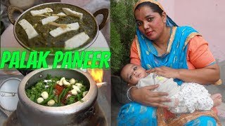 Palak Paneer Recipe  How to make Palak Paneer  Punjabi [upl. by Estrella]