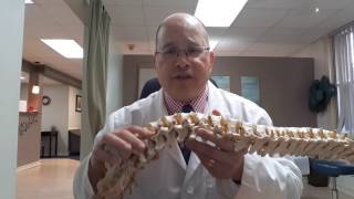 Back Pain alert What Is Facet Syndrome [upl. by Gnehs711]