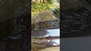 How to remove dust from cars in seconds kiacarensreview dustcleaning carhealth waterlesscarwash [upl. by Silva]