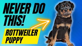 6 Things You Must NEVER Do With Your Rottweiler Puppy [upl. by Katzen583]