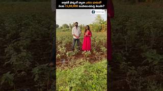 Organic Farming లో లక్షల్లో ఆదాయం🤔 shorts organicfarming trendingshorts [upl. by Ivzt402]