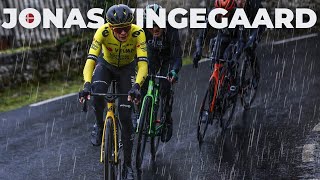 BEST OF CYCLING  JONAS VINGEGAARD 2024 [upl. by Abehsat]