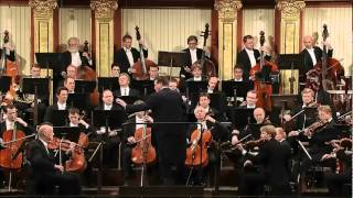 Beethoven Sinfonia 5 [upl. by Nessie353]