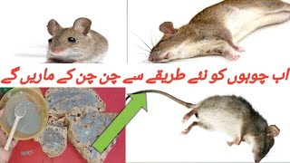 get rid of mouse  Chuhe baghane ka tarika  Rat killer trick  rat killer  kitchen tips [upl. by Naiva]