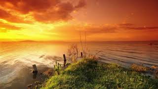 Soft Piano amp Nature Sounds  Calm Background Music for Focus amp Study [upl. by Justinian]