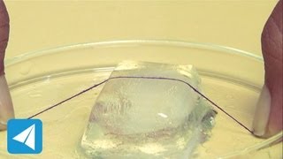 Length of string sinks into ice due to regelation  Pressure  Physics [upl. by Bolling334]