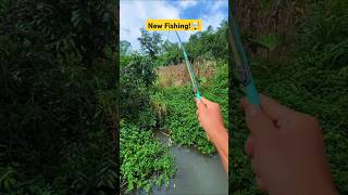 fish catching short  fishing skills  hook fishing fish shorts catchingfish bait carp river [upl. by Lanrev]