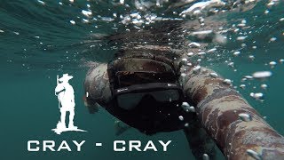 free diving for CRAYFISH and abalone [upl. by Eedrahs]