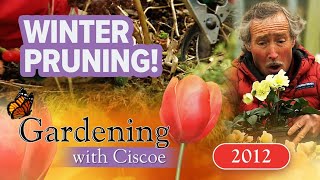 WINTER PRUNING Prep Your Garden For a Chill  Gardening With Ciscoe  Full Episode [upl. by Esinert]