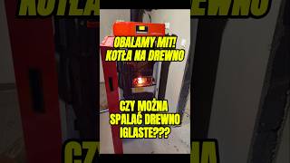 NIE WOLNO PALIĆ DREWNEM IGLASTYM 🪵❓️ OBALAMY MIT drewno zgazowanie bufor instalacjegrzewcze [upl. by Specht590]