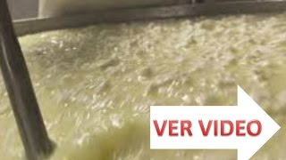 ☞ Suero de leche  beneficios y propiedades de consumirlo en la salud [upl. by Karlee]