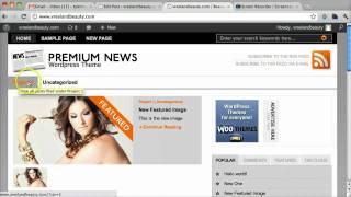 Premium News Wordpress Theme woothemes tutorial [upl. by Grae]