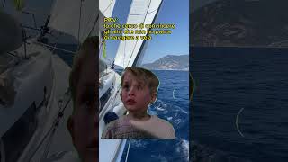 Sailing meme  Paura di navigare a vela con andatura di bolina ⛵️ [upl. by Okomot]