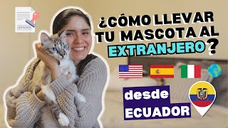 Cómo llevar a tu gato o perro de Ecuador a Estados Unidos o fuera del país SIN ERRORES [upl. by Tiersten279]