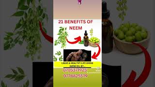 21 SURPRISING BENEFITS OF NEEM OIL [upl. by Catlaina]