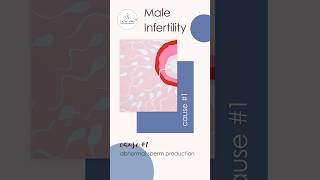 Male Infertility Cause 1 Abnormal sperm production or function [upl. by Nam]