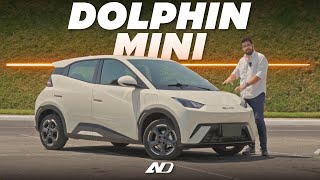 BYD Dolphin Mini Seagull ⭐️  ¿Tan maravilloso como aparenta  Reseña [upl. by Ahsilem]