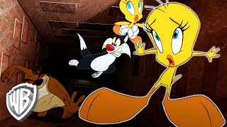 Looney Tunes en Français  Oui jai dressé un Diable de Tasmanie  WB Kids [upl. by Hgeilhsa]