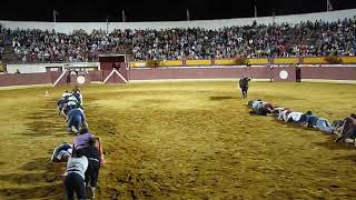 Men Participate in Crawling Race Across Bullfighting Arena  988572 [upl. by Notnert]