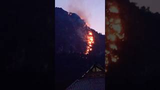 Horrific forest fire disaster occurred on limestone mountain agriculture channel [upl. by Eudoca]