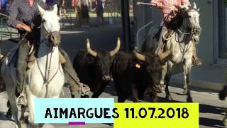 AIMARGUES COURSE BANDIDO  CABESTRIA 11072018 [upl. by Spike]