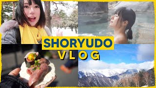 Vlog นั่งบัส 🚌 เที่ยวญี่ปุ่นหน้าหนาว เส้นทาง Shoryudo ดีต่อใจสุดสุดดด [upl. by Yole589]