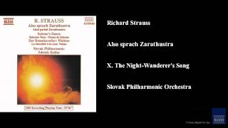 Richard Strauss Also sprach Zarathustra X The NightWanderers Song [upl. by Maunsell]