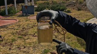 Desentrañando el Proceso Lombrices y Biojardinera para un Tratamiento Ecológico de Aguas Negras 🪱💧🌱 [upl. by Atinid]