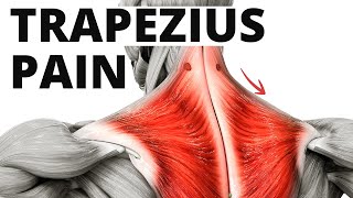 4 Trapezius Muscle Pain Exercises My GoTo For Quick Relief [upl. by Novit495]