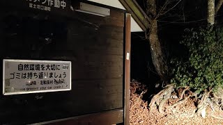 Aokigahara Forest Japan CREEPY amp HORROR [upl. by Aia]