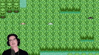 Pokémon Emerald Onwards to Fortree City 🌲 Part 6 [upl. by Troth]