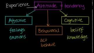 Components of Attitudes [upl. by Clellan]