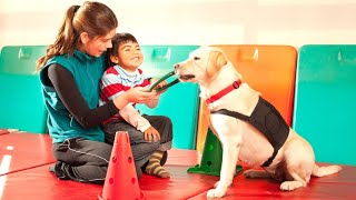 Top 8 Dog Breeds for Autistic Children [upl. by Stouffer]