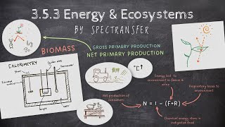 EASY REVISION AQA ALevel Biology 353 Energy amp Ecosystems [upl. by Tore]