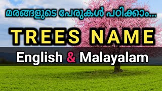 Trees Name in English and Malayalam  മരങ്ങളുടെ പേരുകൾ  Mixed Trees Name  Renjusmediatech [upl. by Elamrej51]